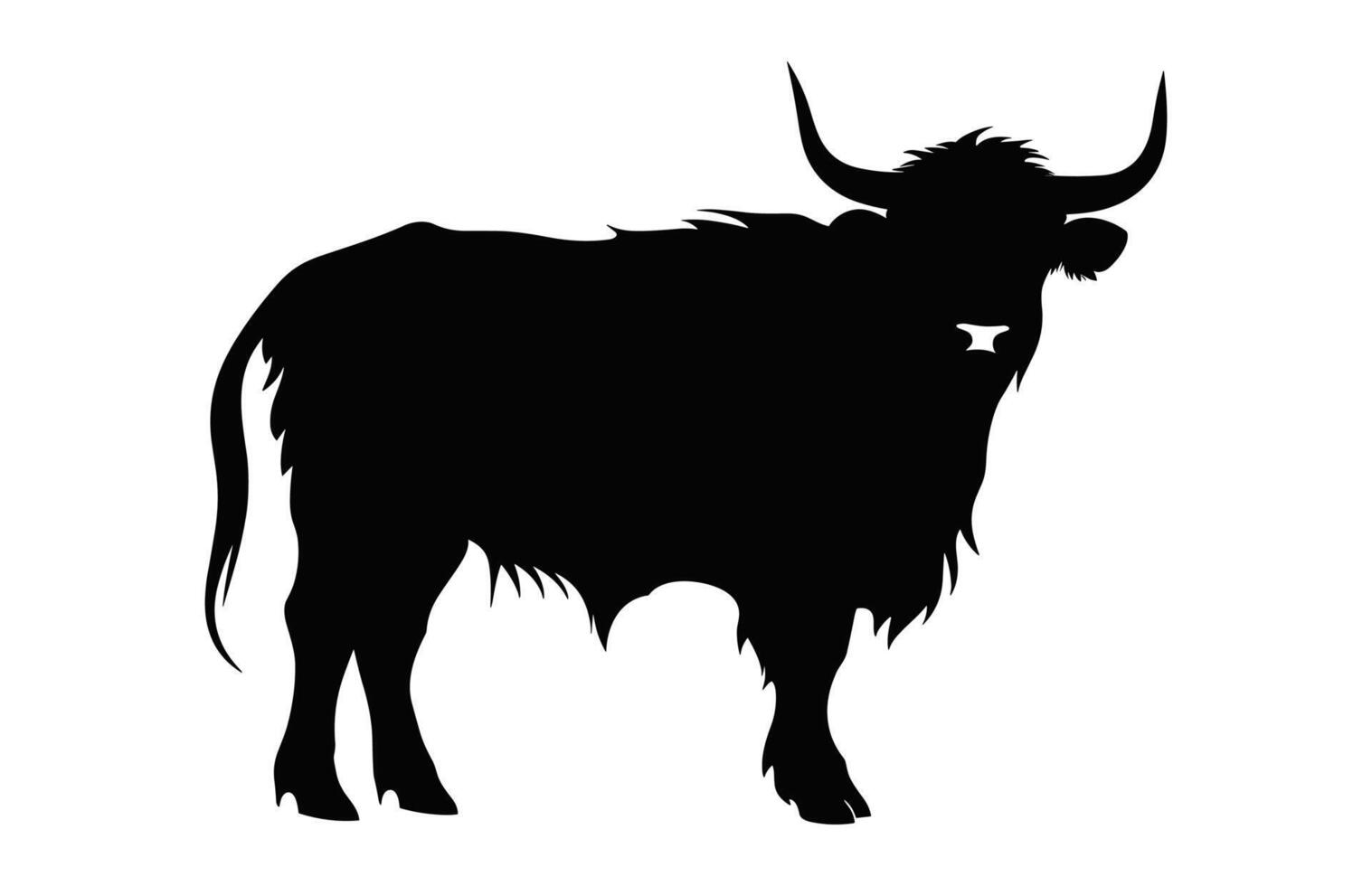 Highland Cattle black Silhouette isolated on a white background vector