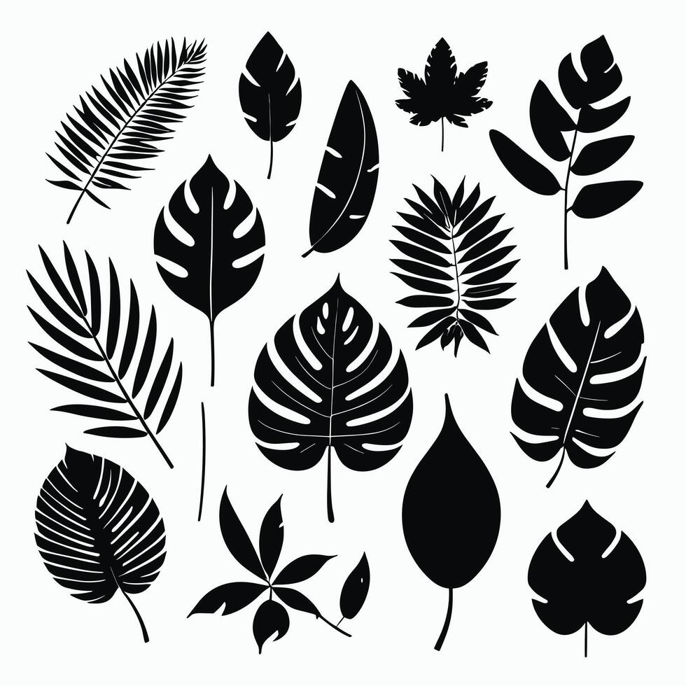 Exotic leaf set 2d collection of tropical leaves silhouette vector