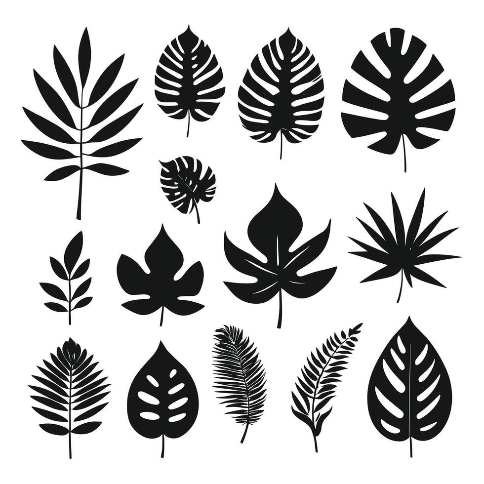 Exotic leaf set 2d collection of tropical leaves silhouette vector