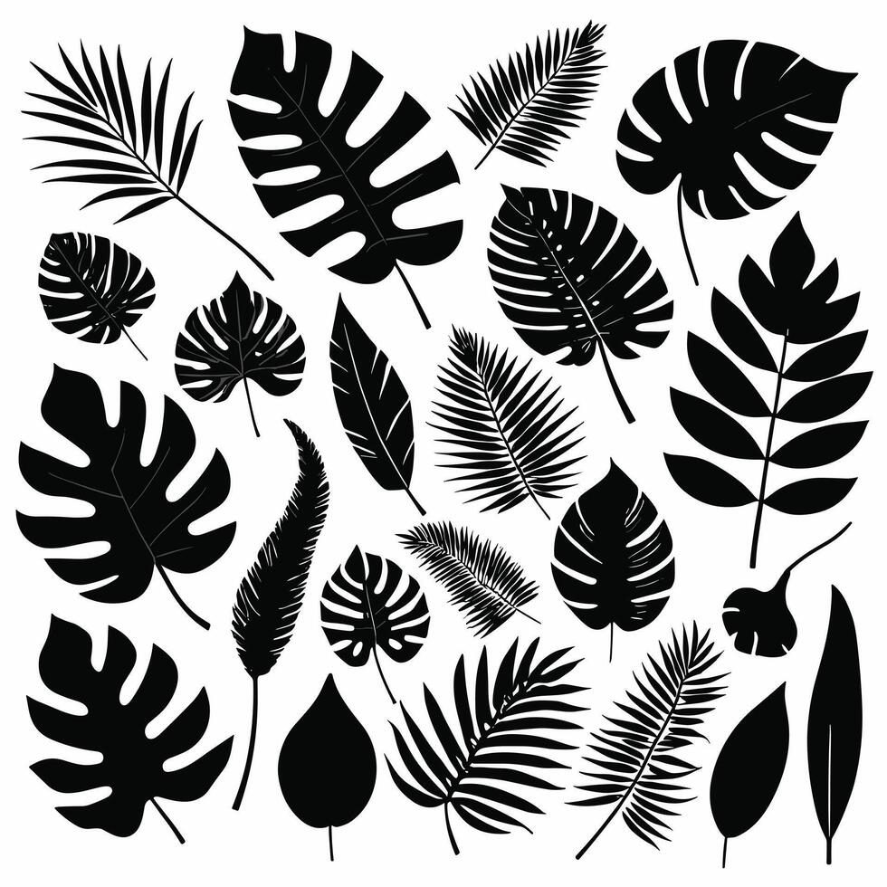 exótico hoja conjunto 2d colección de tropical hojas silueta vector