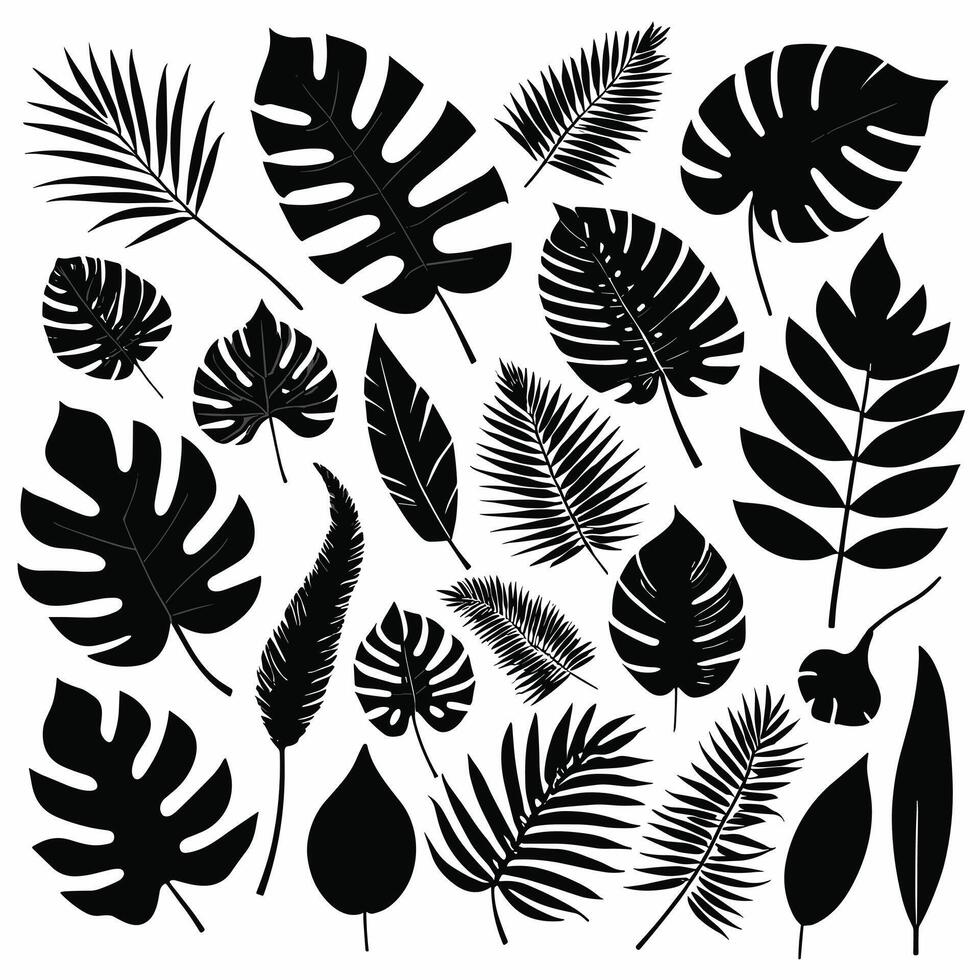 Exotic leaf set 2d collection of tropical leaves silhouette vector