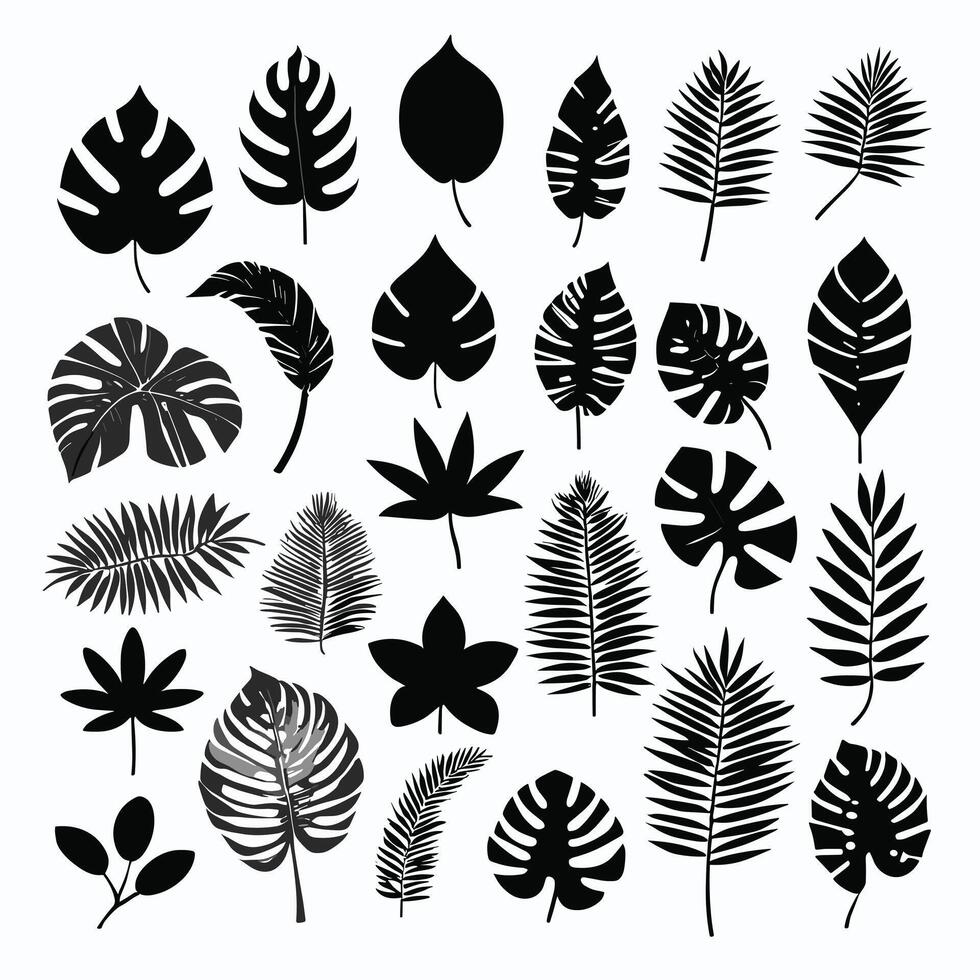 Exotic leaf set 2d collection of tropical leaves silhouette vector