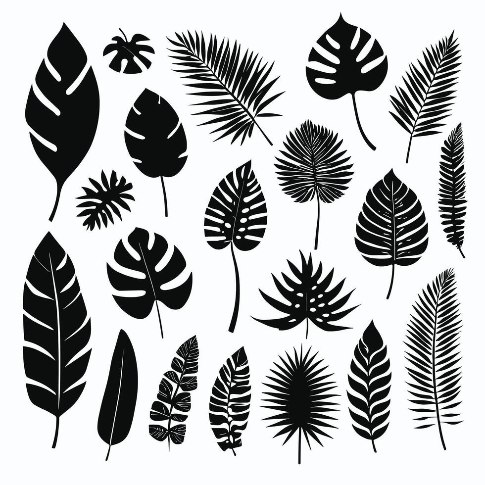 Exotic leaf set 2d collection of tropical leaves silhouette vector