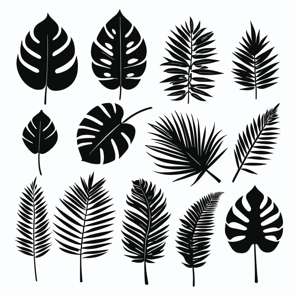 Exotic leaf set 2d collection of tropical leaves silhouette vector