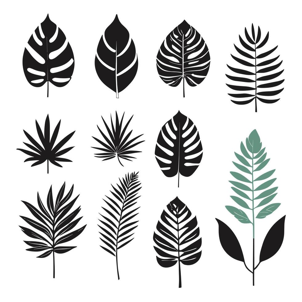 Exotic leaf set 2d collection of tropical leaves silhouette vector