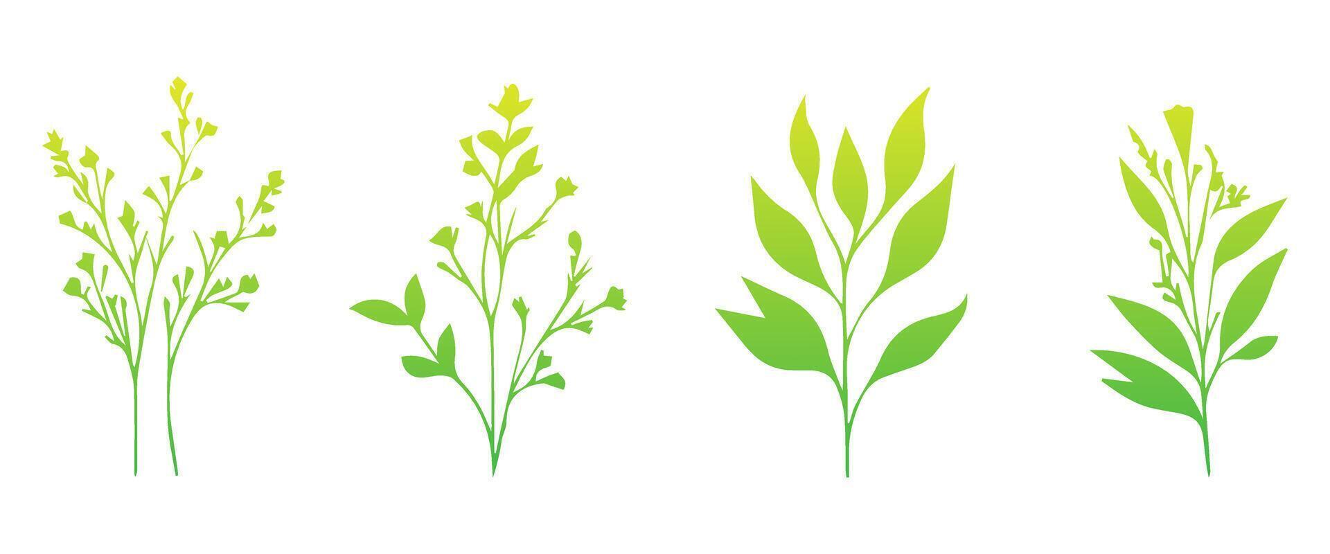 Minimal feminine botanical floral branch in silhouette style. Hand drawn wedding herb, minimalistic flowers with elegant leaves. Botanical rustic trendy greenery vector