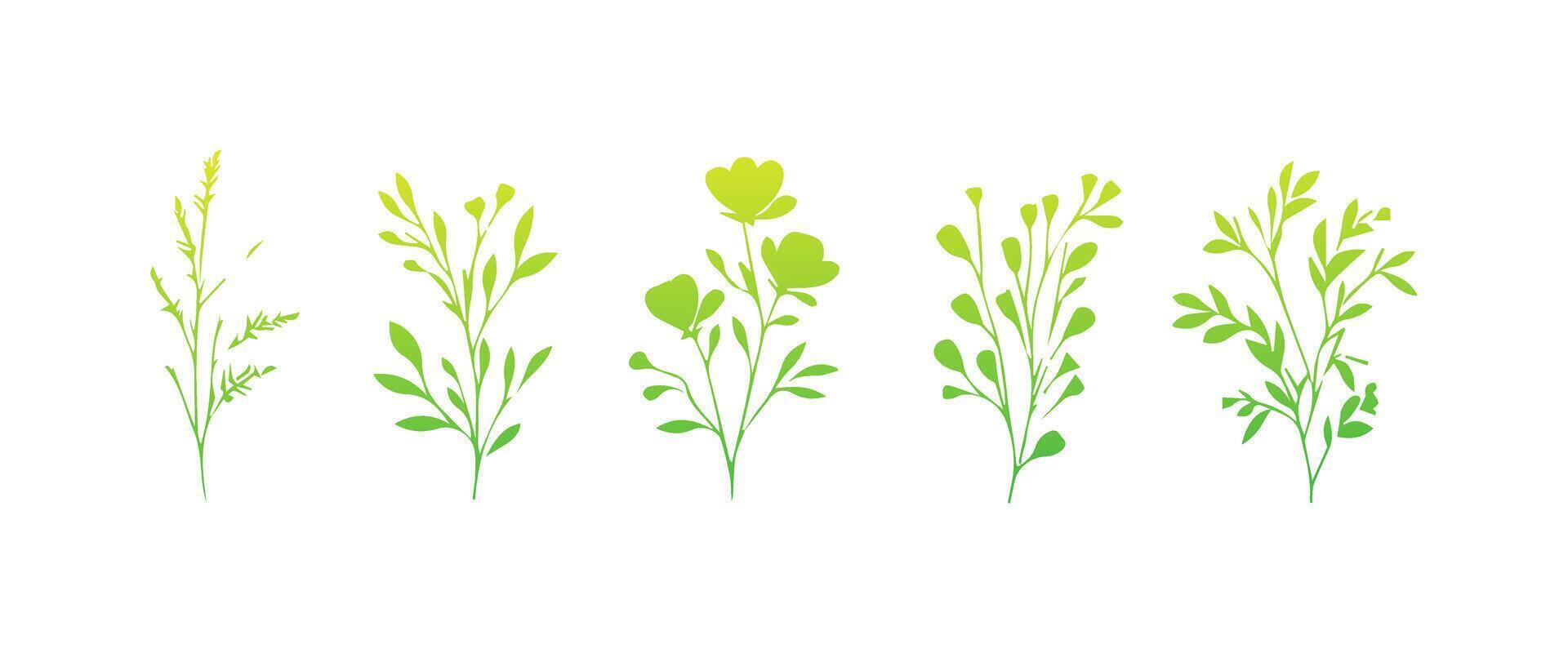 Minimal feminine botanical floral branch in silhouette style. Hand drawn wedding herb, minimalistic flowers with elegant leaves. Botanical rustic trendy greenery vector