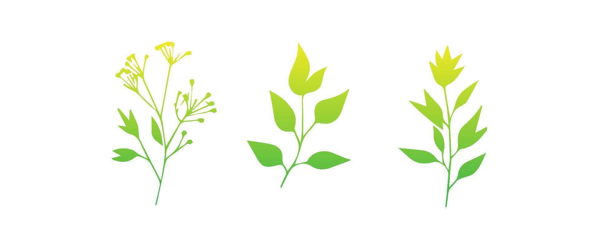 mínimo femenino botánico floral rama en silueta estilo. mano dibujado Boda hierba, minimalista flores con elegante hojas. botánico rústico de moda verdor vector