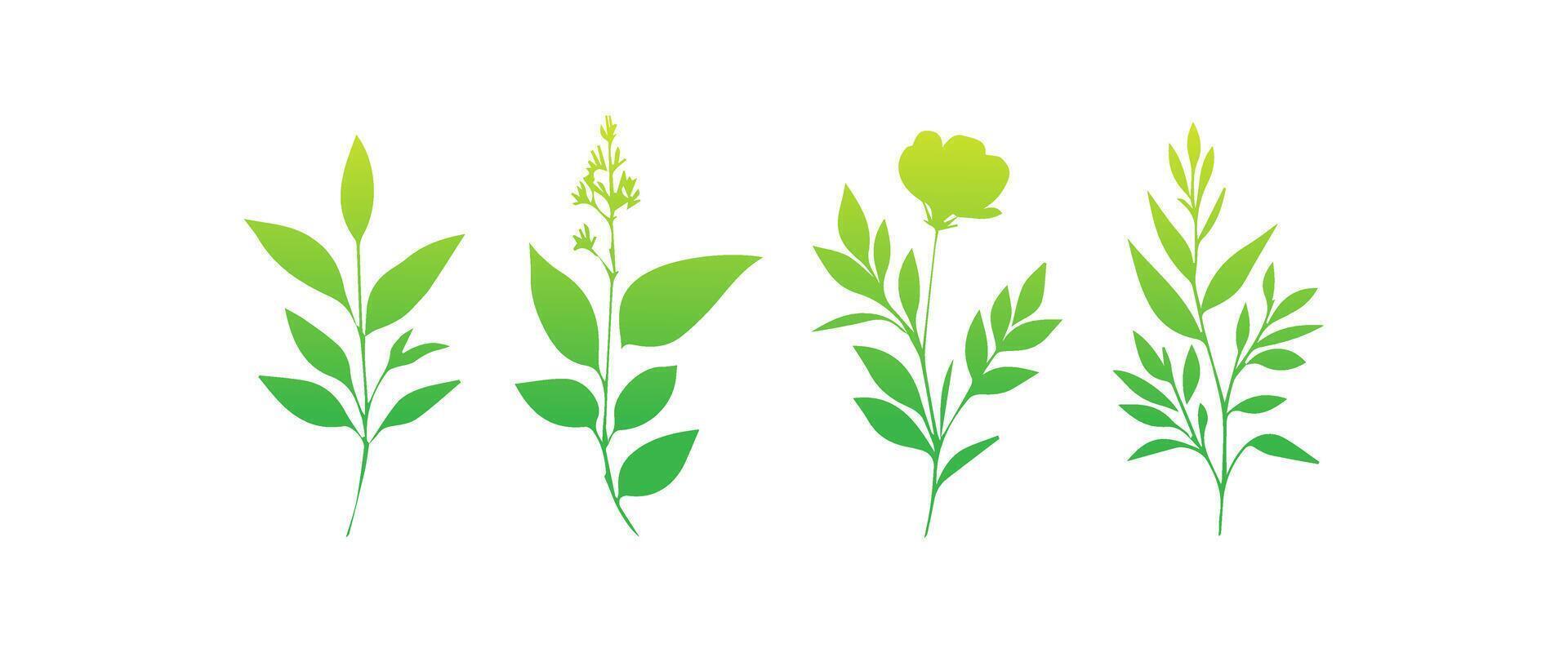 Minimal feminine botanical floral branch in silhouette style. Hand drawn wedding herb, minimalistic flowers with elegant leaves. Botanical rustic trendy greenery vector