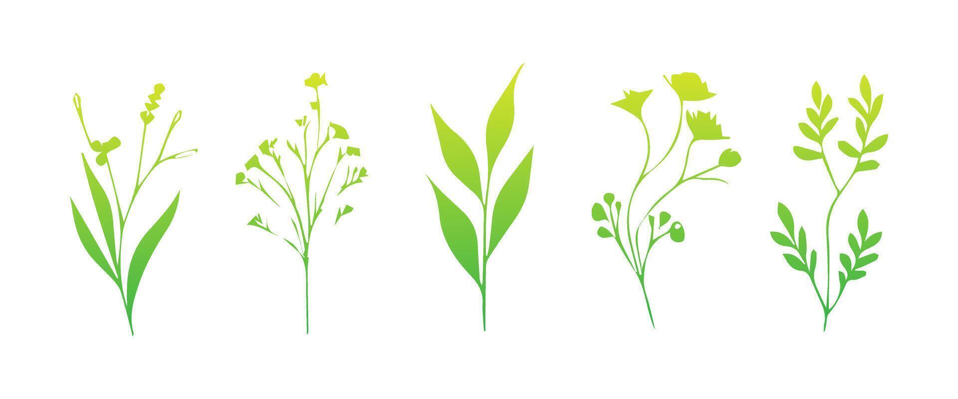 Minimal feminine botanical floral branch in silhouette style. Hand drawn wedding herb, minimalistic flowers with elegant leaves. Botanical rustic trendy greenery vector
