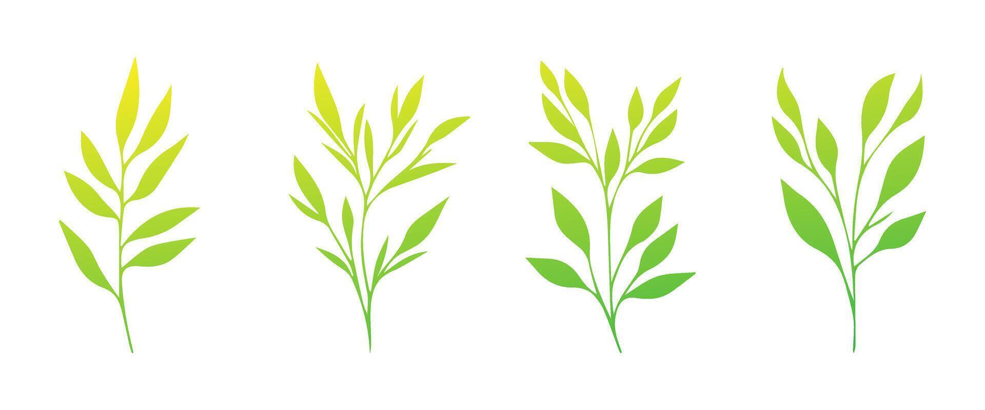 Minimal feminine botanical floral branch in silhouette style. Hand drawn wedding herb, minimalistic flowers with elegant leaves. Botanical rustic trendy greenery vector