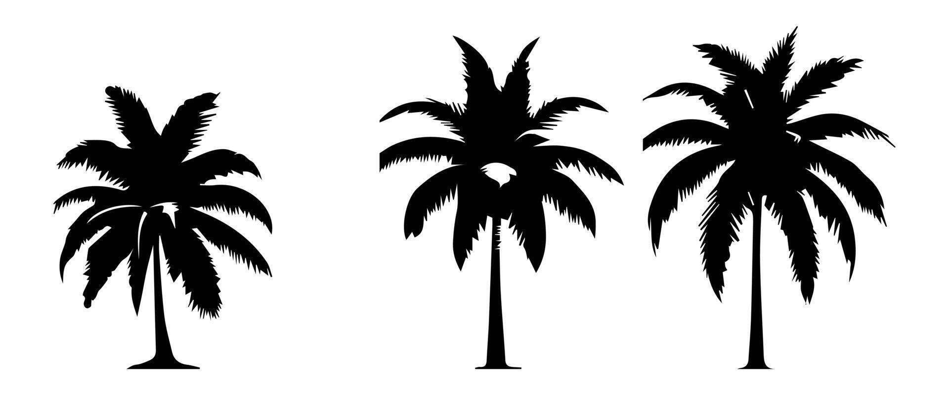 Black palm trees set isolated on white background. Palm silhouettes. Design of palm trees for posters, banners and promotional items. illustration vector