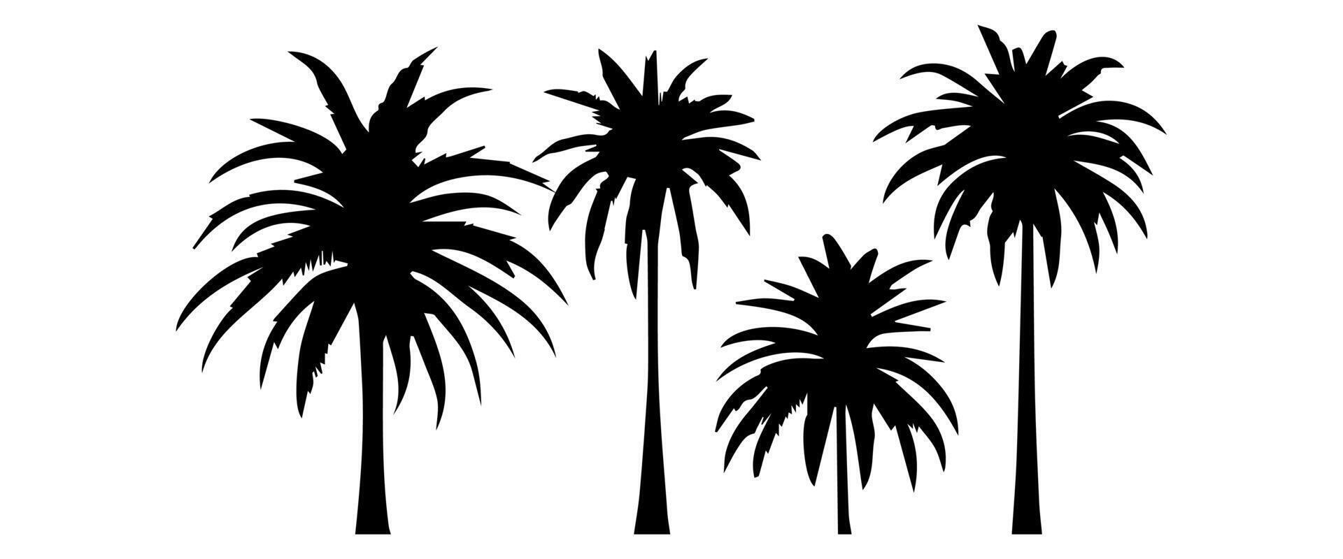 negro palma arboles conjunto aislado en blanco antecedentes. palma siluetas diseño de palma arboles para carteles, pancartas y promocional elementos. ilustración vector