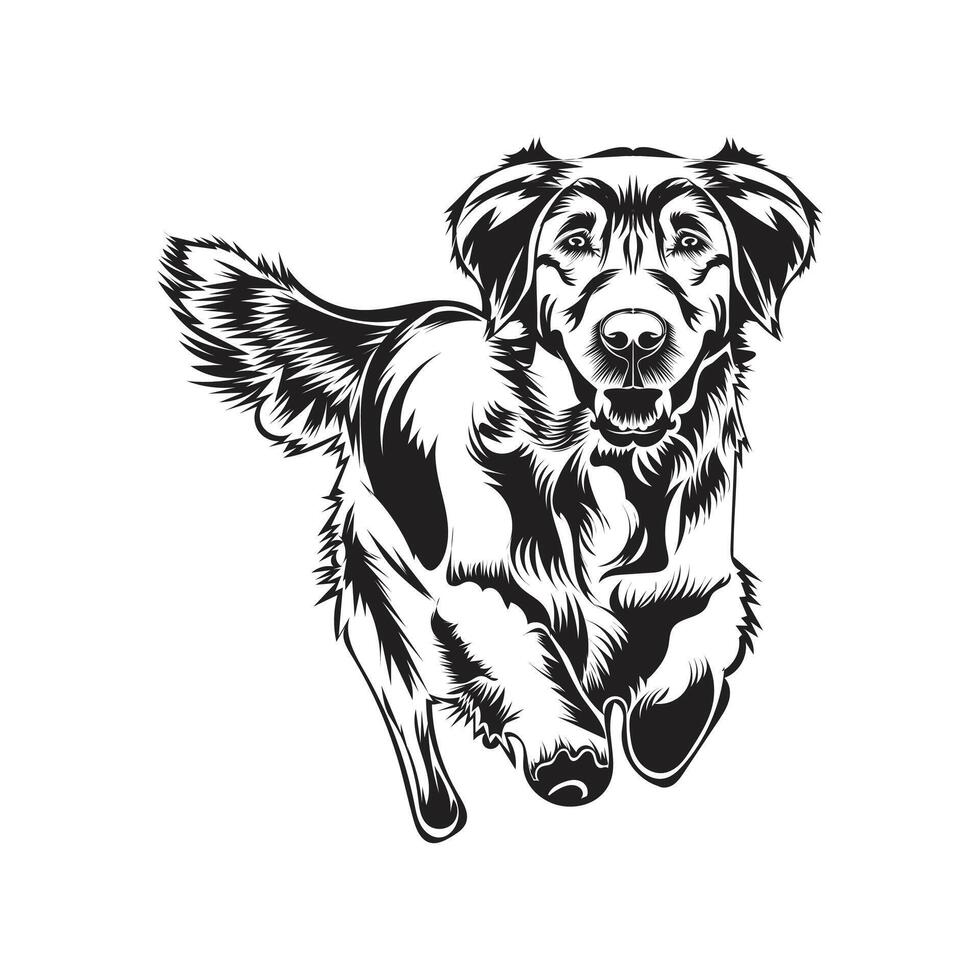 ilustración de un negro y blanco perro diseño vector