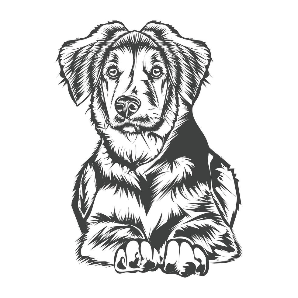 dog illustration design template white background vector