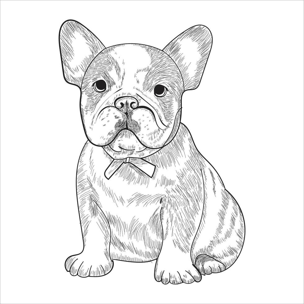 dog sketch design vector