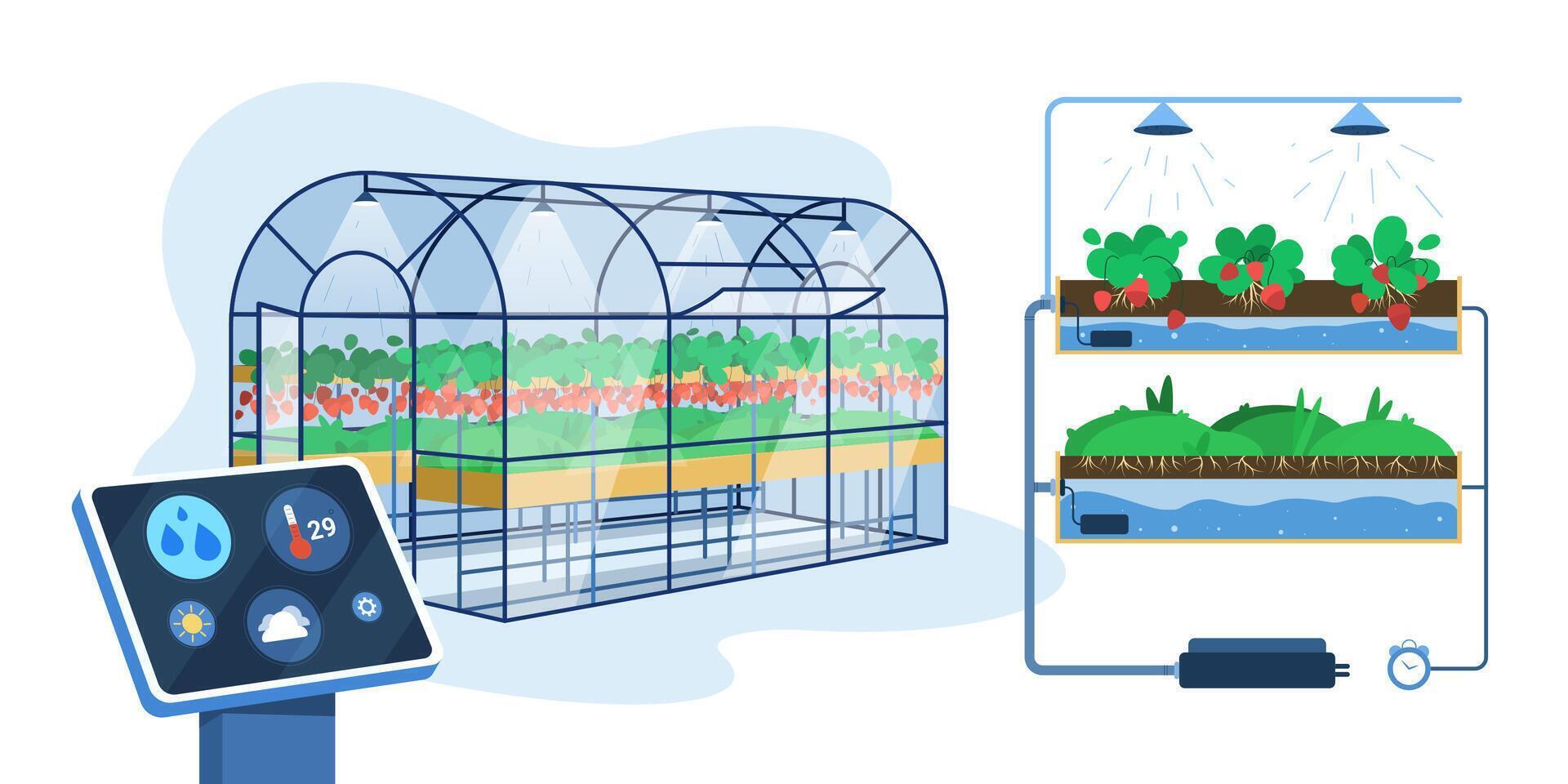 Flat greenhouse with smart innovation technology for growing or automation watering plants. Agricultural cultivation, hydroponic gardening system with control digital device. Farm industry concept. vector