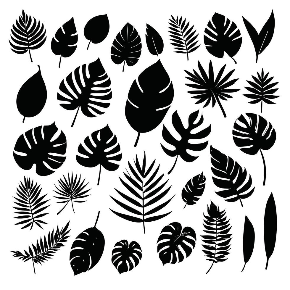 Exotic leaf set collection of tropical leaves silhouette vector