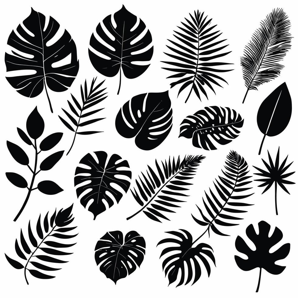 Exotic leaf set collection of tropical leaves silhouette vector