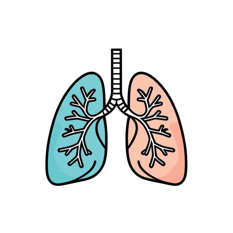 Human lungs anatomy icon illustration flat design vector