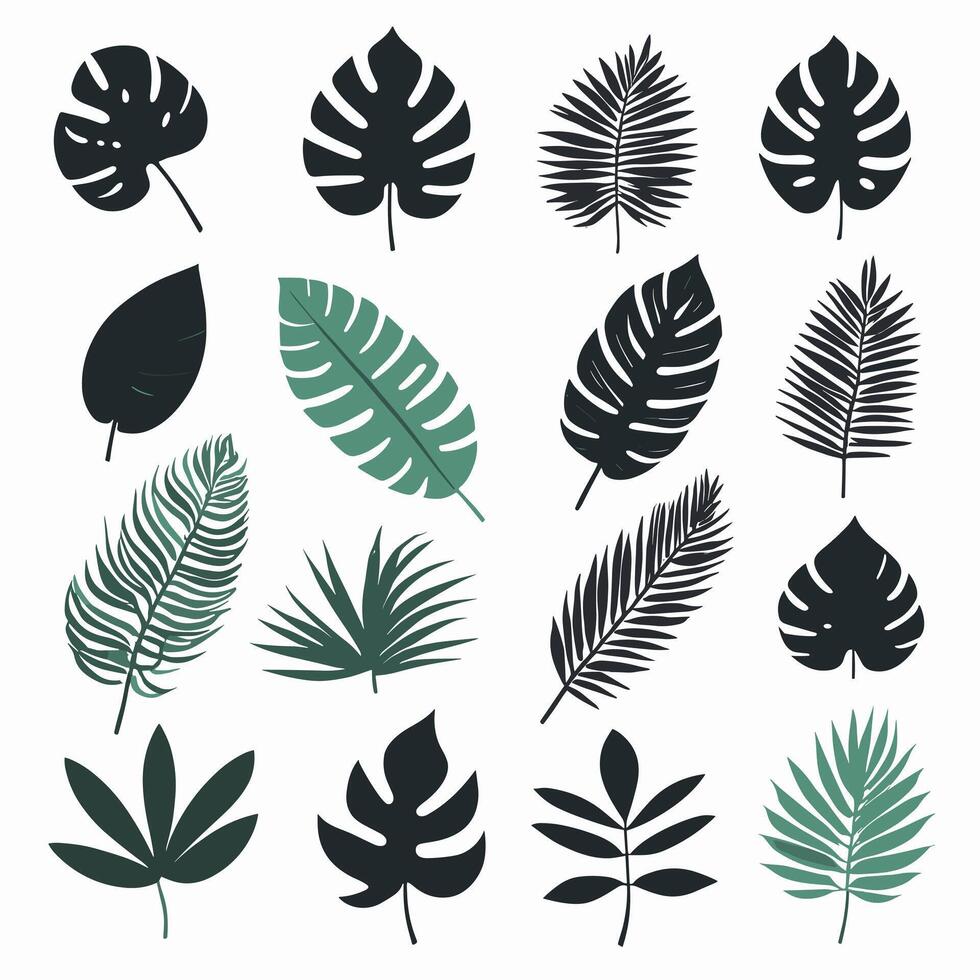 Exotic leaf set 2d collection of tropical leaves silhouette vector