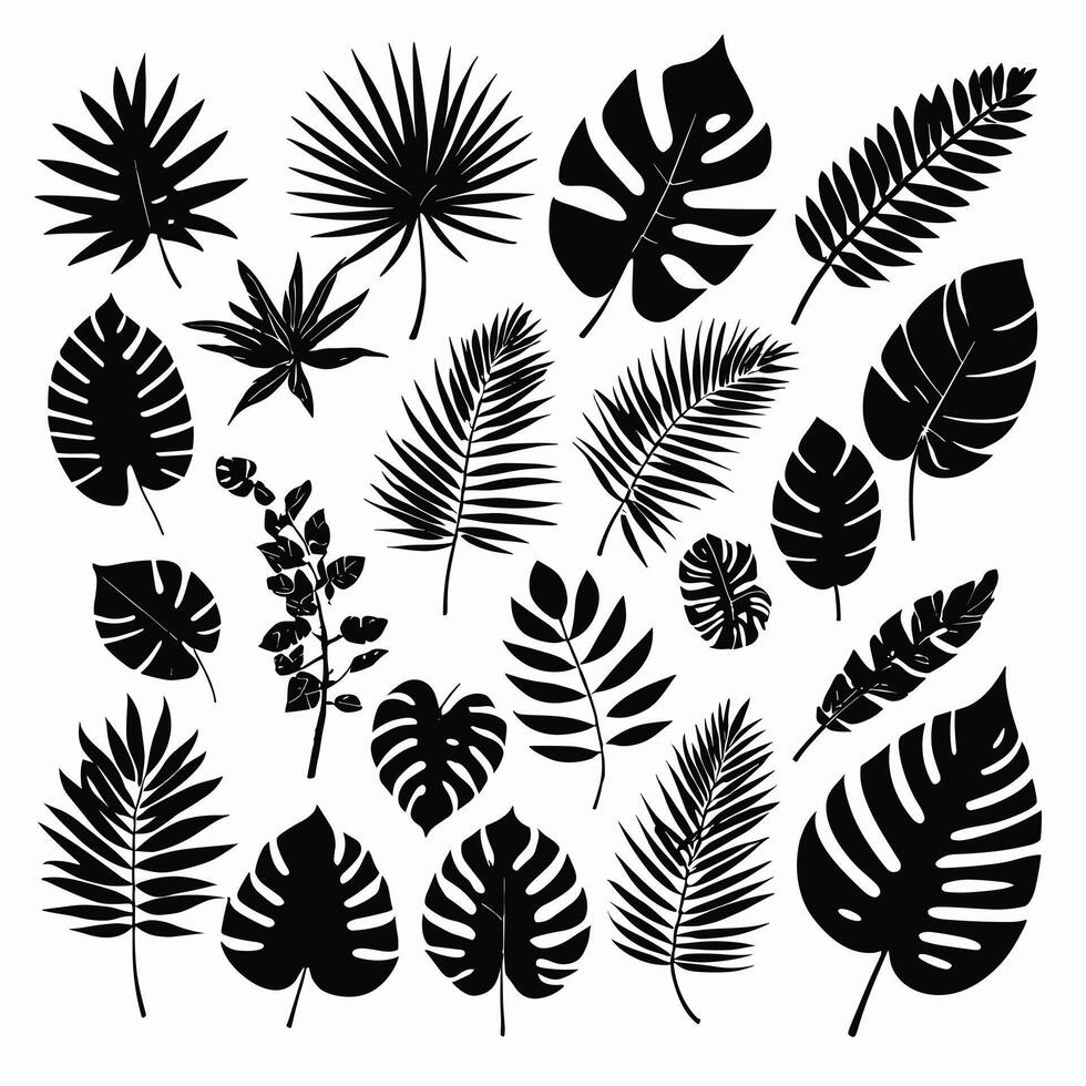 Exotic leaf set 2d collection of tropical leaves silhouette vector