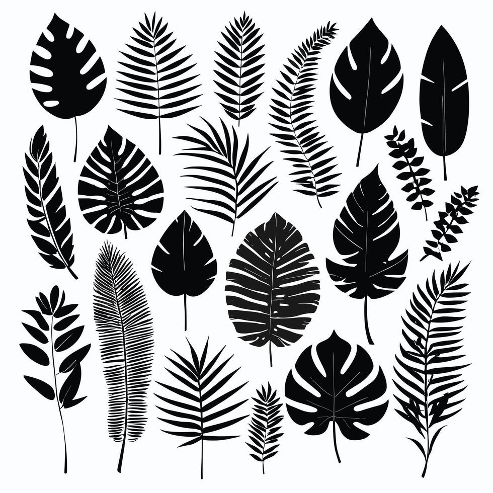 Exotic leaf set collection of tropical leaves silhouette vector