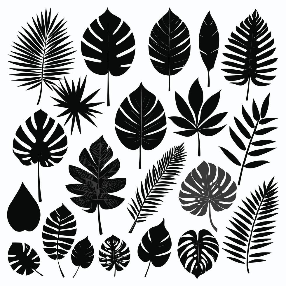 Exotic leaf set collection of tropical leaves silhouette vector