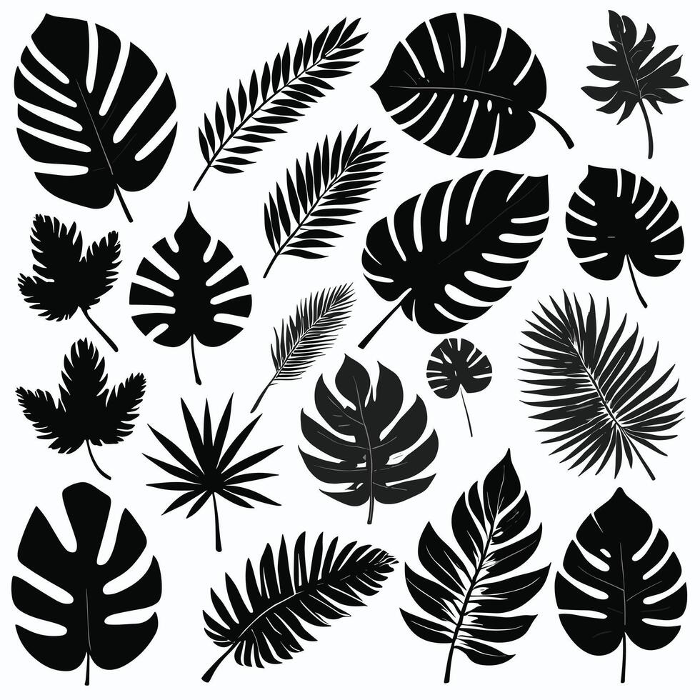 Exotic leaf set collection of tropical leaves silhouette vector