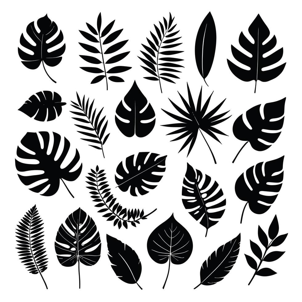 Exotic leaf set collection of tropical leaves silhouette vector