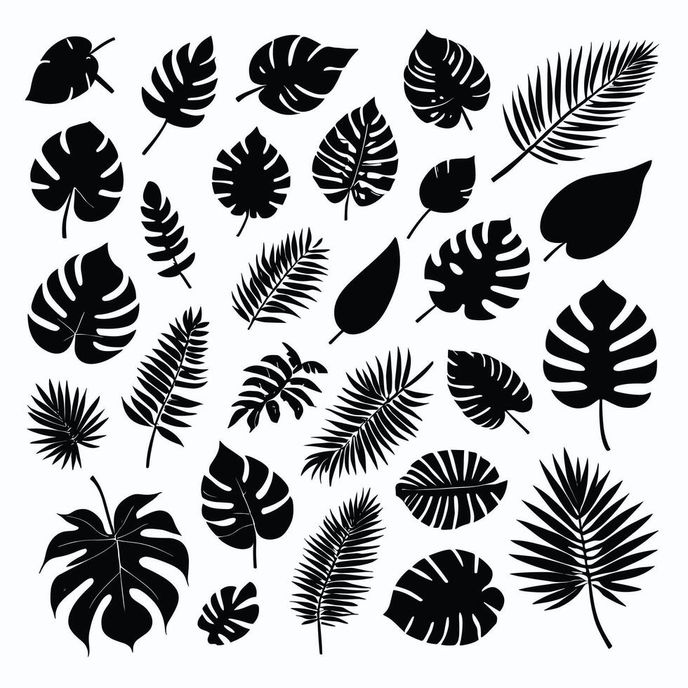 Exotic leaf set collection of tropical leaves silhouette vector