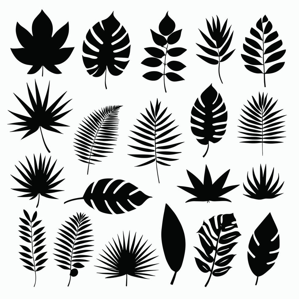 Exotic leaf set collection of tropical leaves silhouette vector