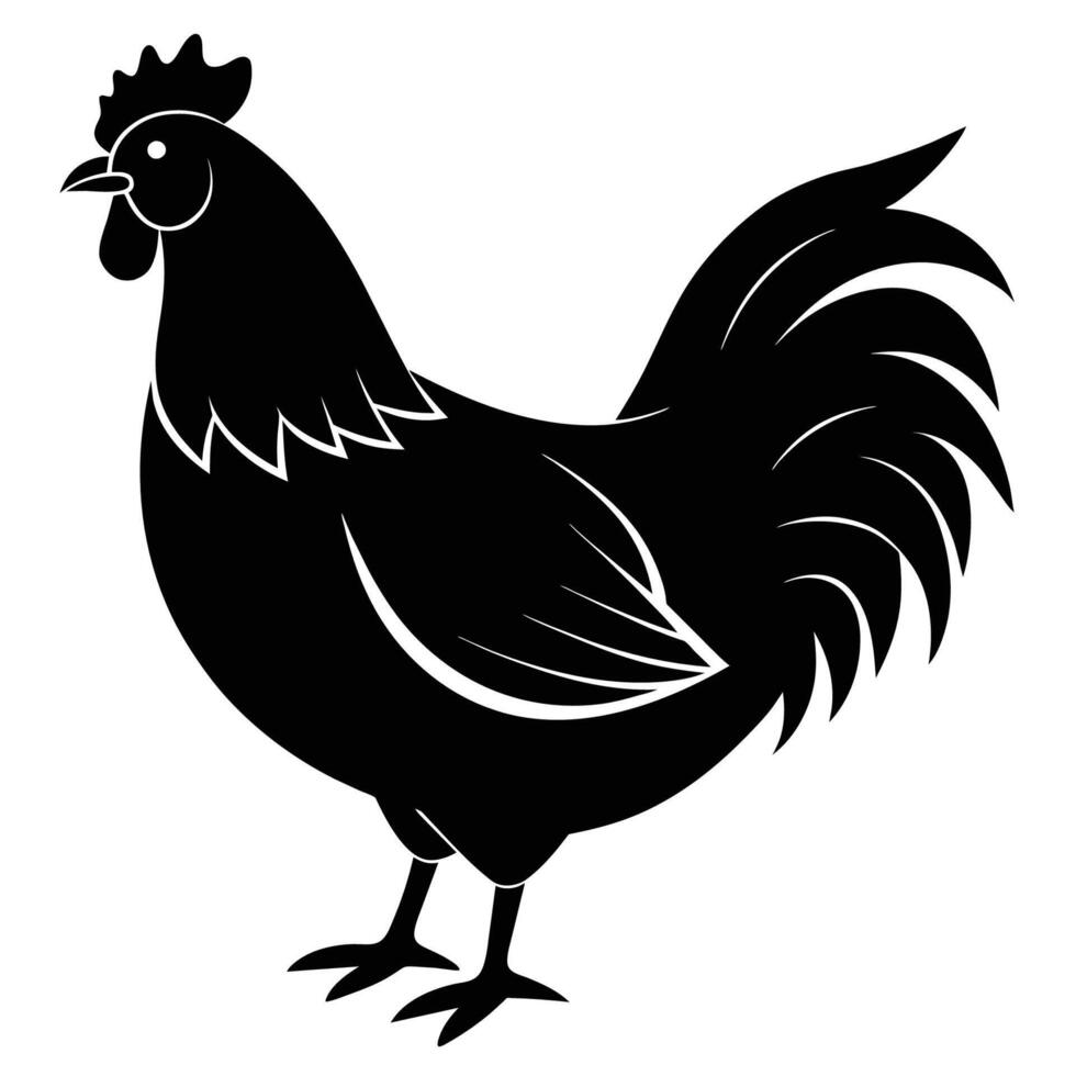 ilustración de pollo en blanco antecedentes vector