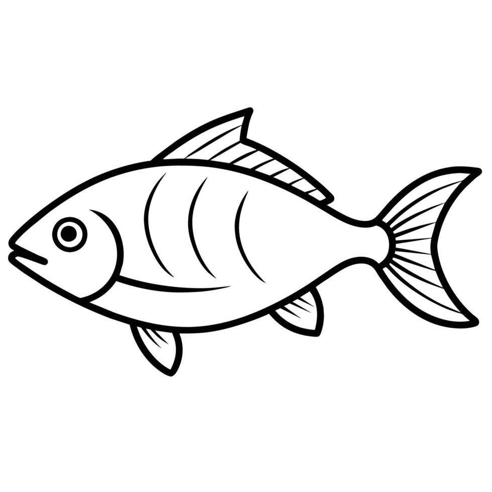 of Fish, Seafood on White Background vector