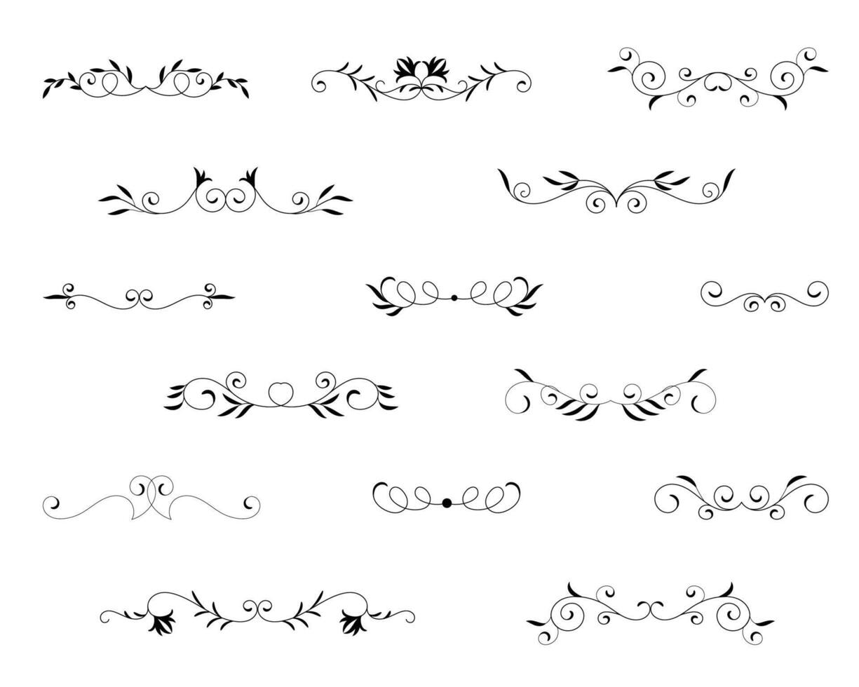 Set of botanical design elements Modern wedding style. isolated illustration. vector