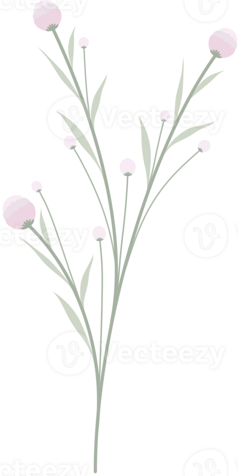 Pink wildflower border png