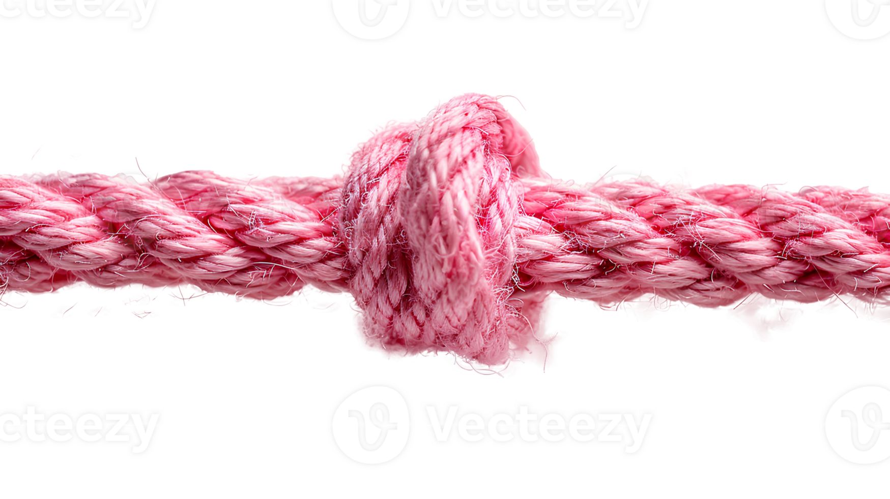 Rosa corda com nó . Rosa Grosso corda com corda dentro a meio isolado. sapato renda corda . corda topo Visão . Rosa corda plano deitar png