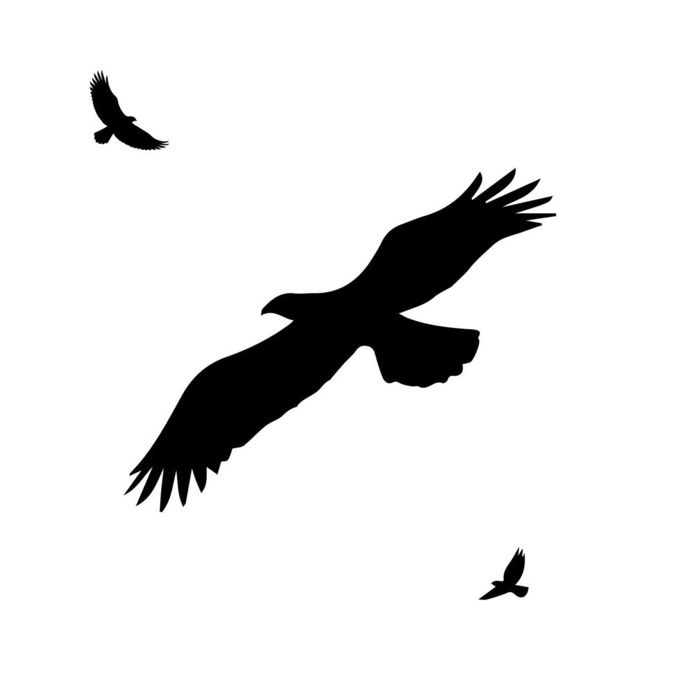 flying birds silhouette in white background vector