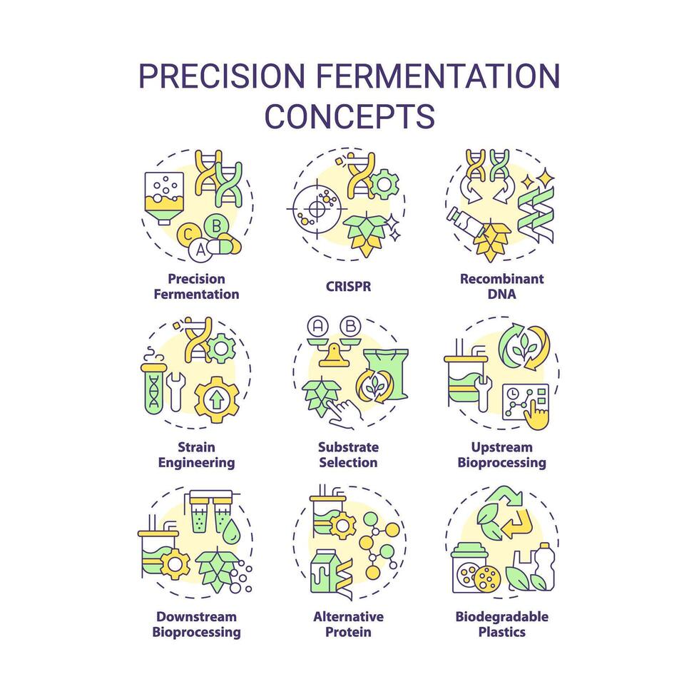 Precision fermentation multi color concept icons. Food genetic modification. Artificial selection, synthetic biology. Icon pack. images. Round shape illustrations for article. Abstract idea vector