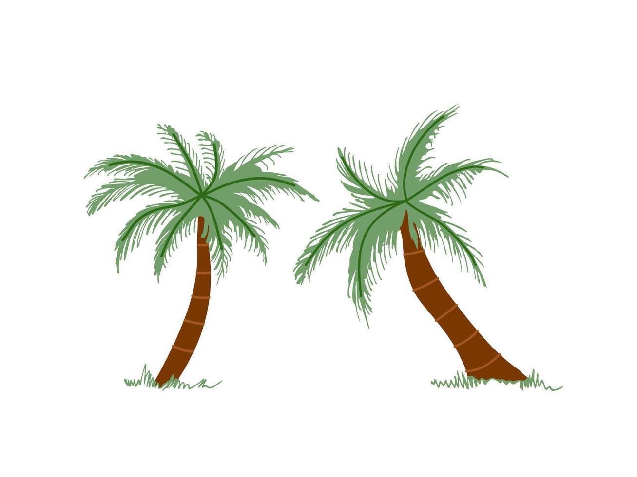 Cute hand drawn palm tree. Flat illustration isolated on white background. Doodle drawing. vector