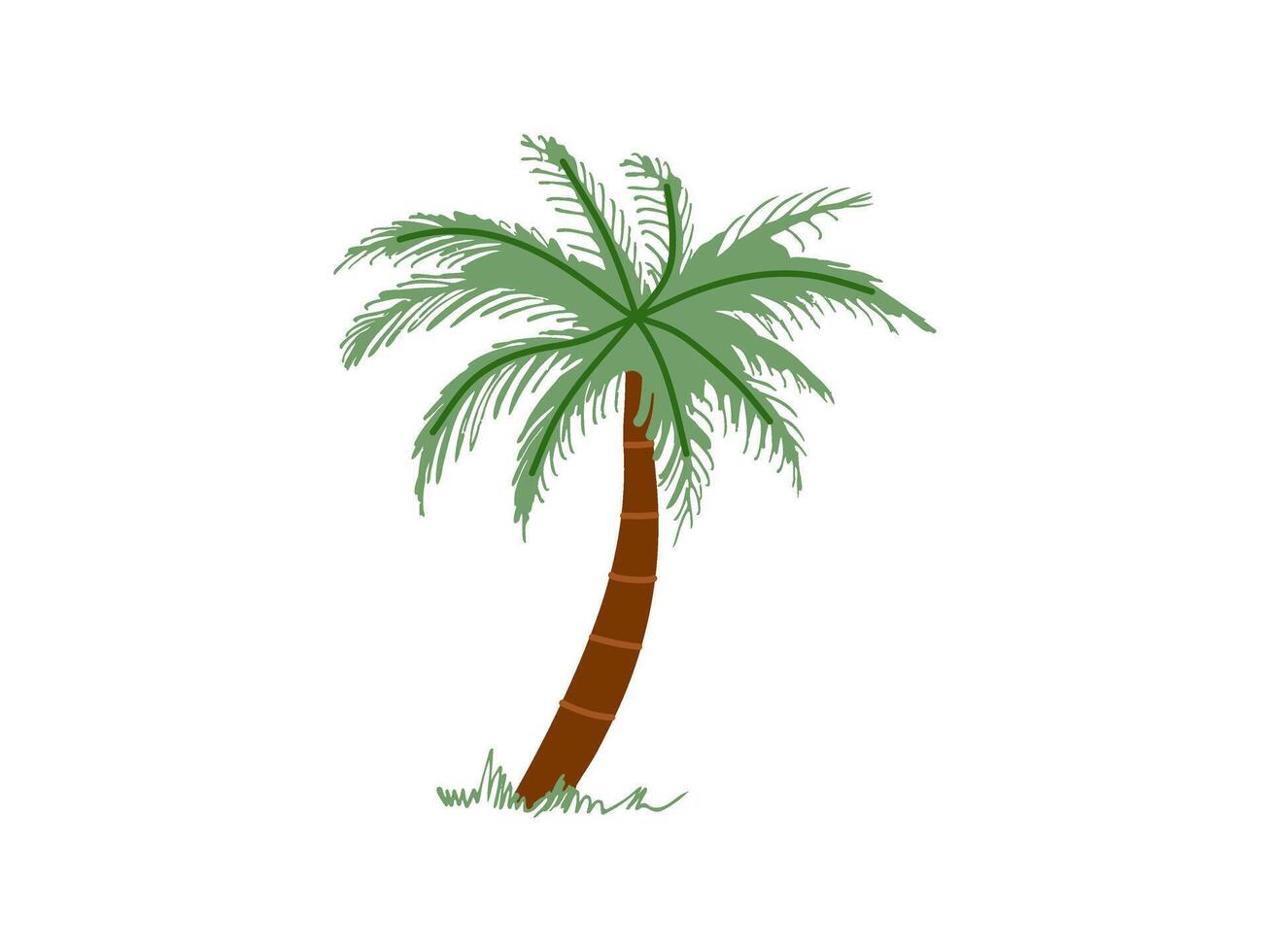 Cute hand drawn palm tree. Flat illustration isolated on white background. Doodle drawing. vector