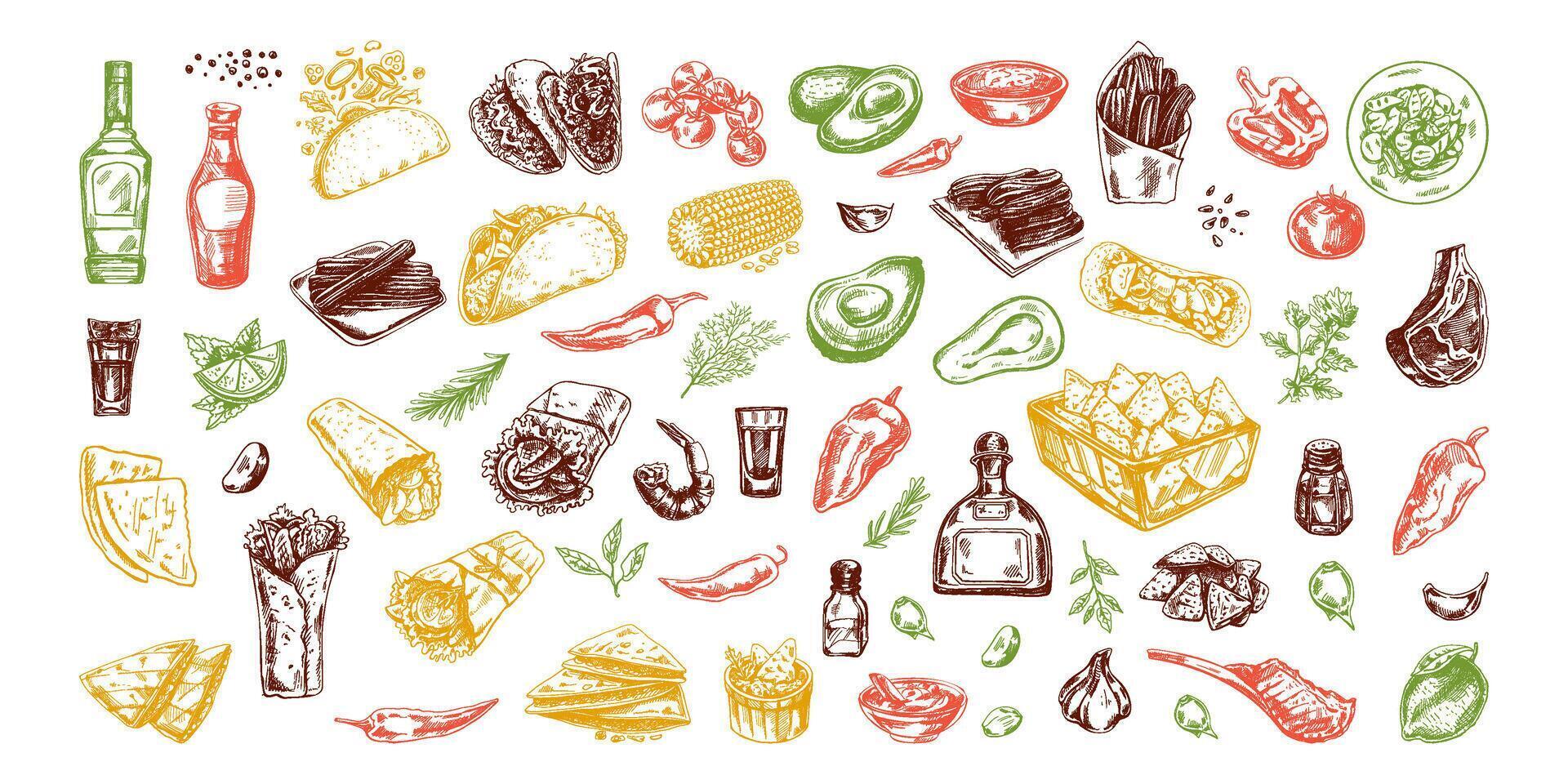 Hand-drawn colored set of realistic mexican dishes and products. Vintage sketch drawings of Latin American cuisine. ink illustration. Mexican culture. vector