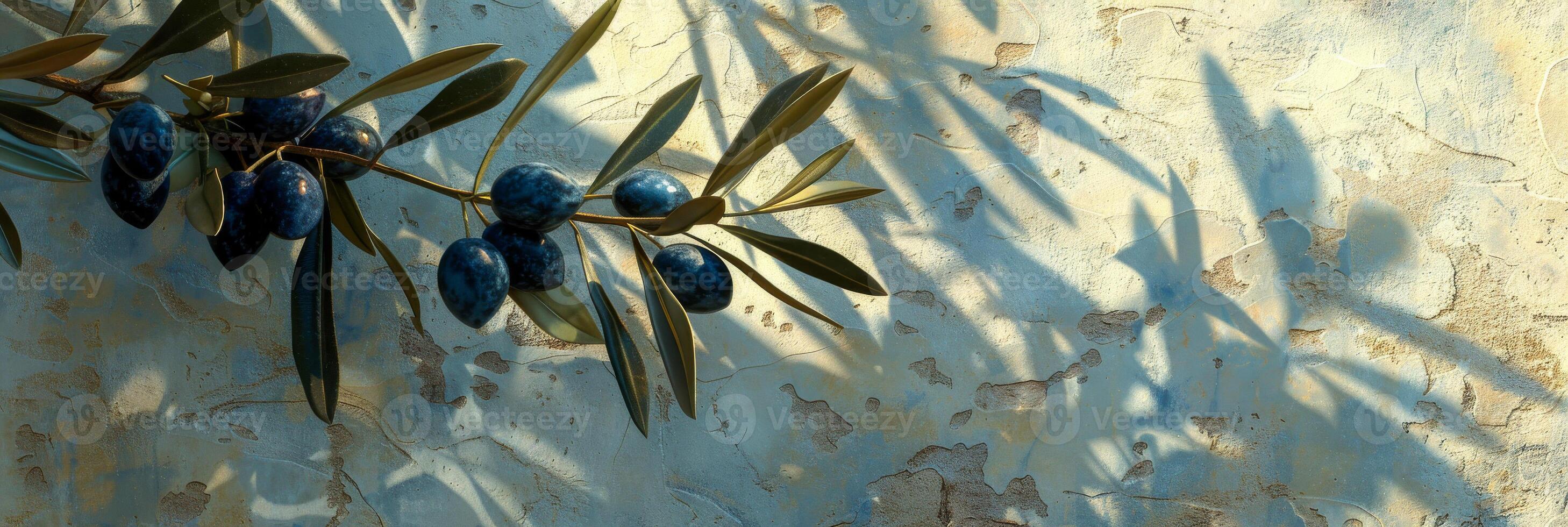 Olive Branch With Olives photo