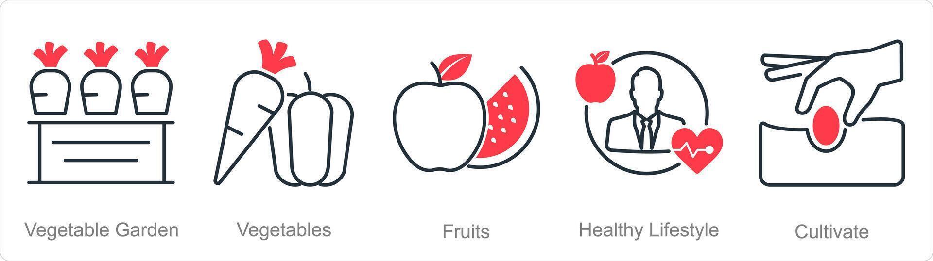 A set of 5 organic farming icons as vegetable garden, vegetables, fruits vector