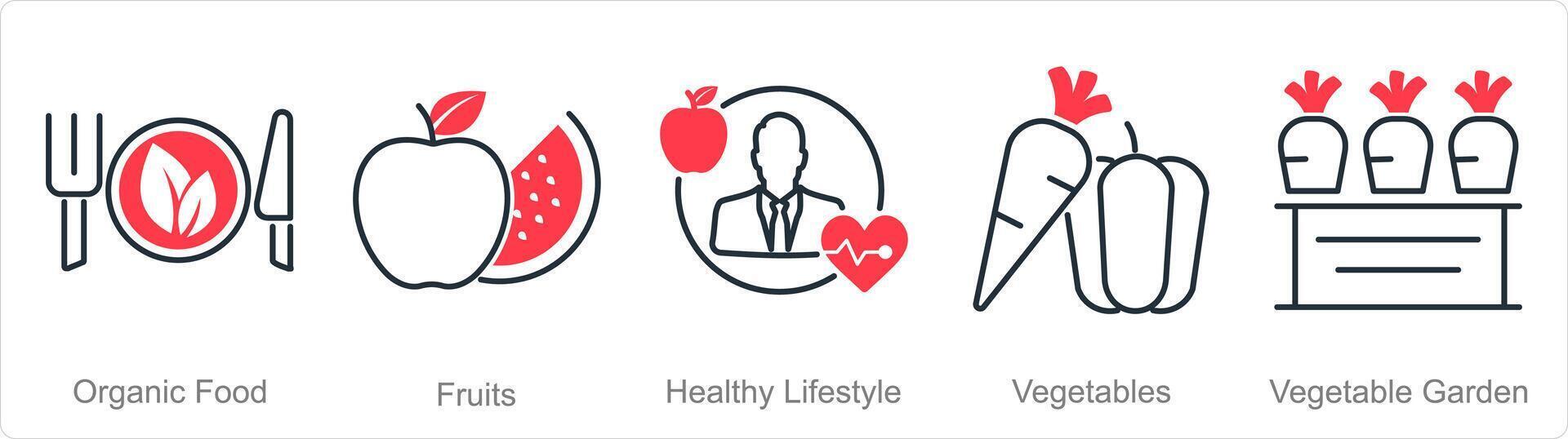 A set of 5 organic farming icons as organic food, fruits, healthy lifestyle vector