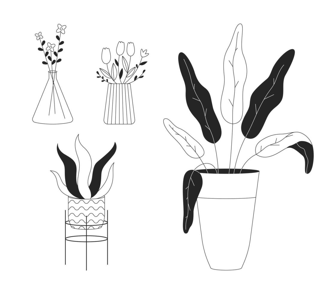 en conserva plantas de interior y flor ramos de flores negro y blanco 2d línea dibujos animados objetos colocar. plantas en hogar interior aislado contorno artículos recopilación. floral decoración monocromo plano Mancha ilustraciones vector