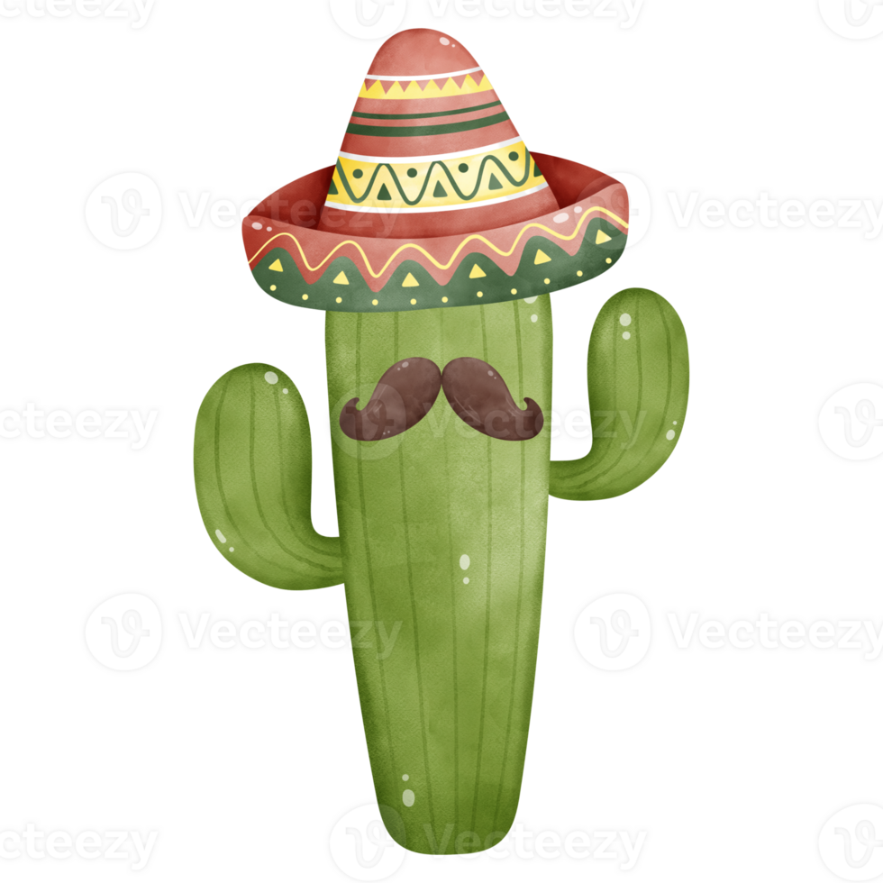 cactus isolated on white, Illustration of cactus png