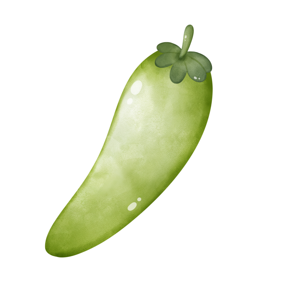 Illustration of green chili png