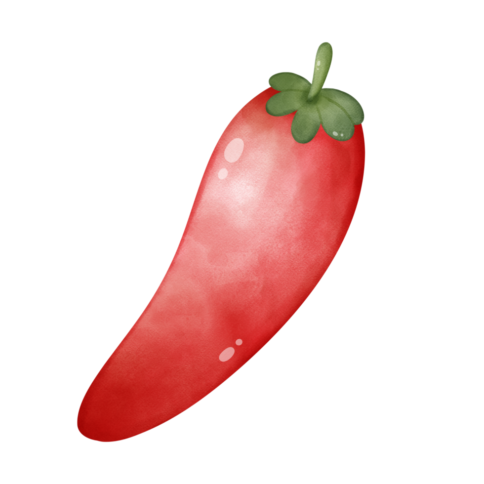 ilustração do vermelho Pimenta png