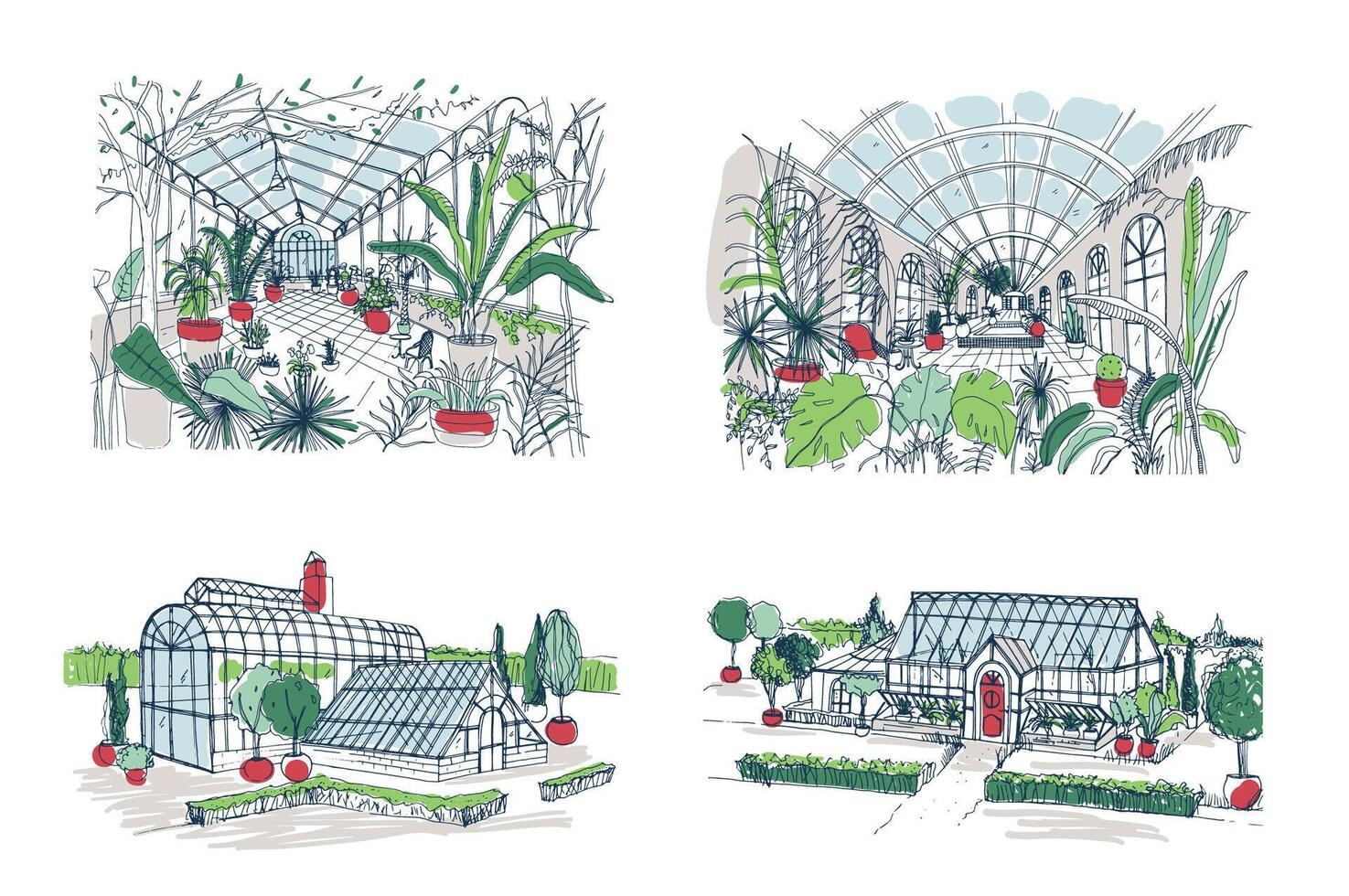 Collection of sketches of large greenhouses full of tropical plants. Set of rough drawings of glasshouses with palm exotic trees growing in pots. Inside and outside views. Colored illustration. vector